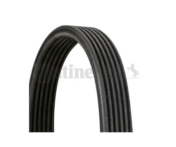 Correa trapecial poli V AUDI  A3...