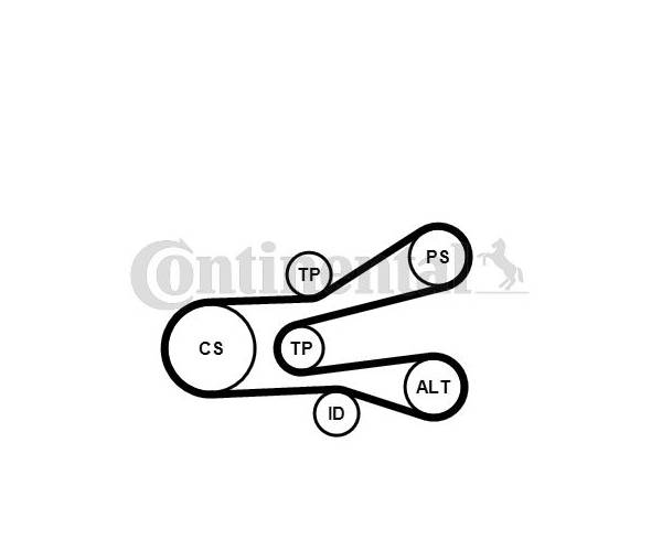 Juego de correas trapeciales poli V -...