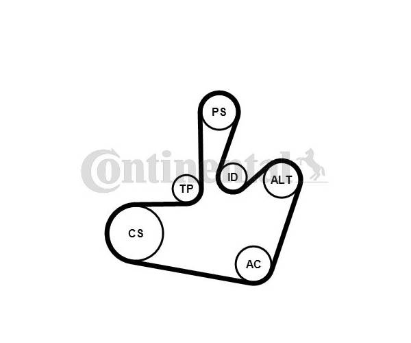 Juego de correas trapeciales poli V -...