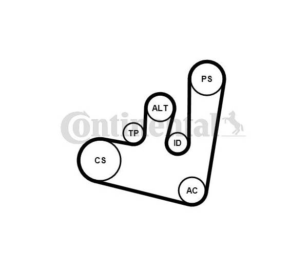 Juego de correas trapeciales poli V...