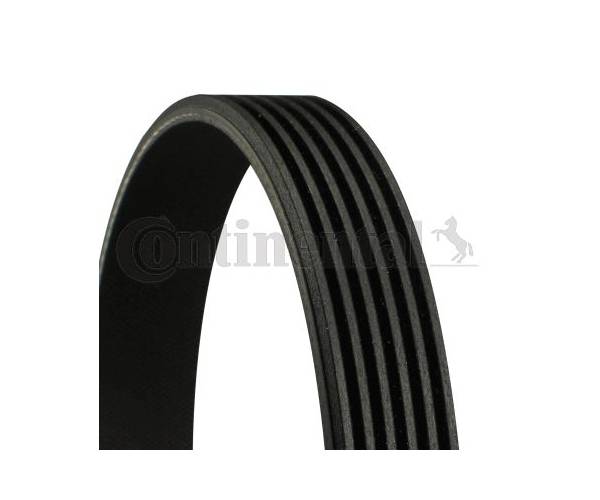 Correa trapecial poli V BMW  7 (E65-...