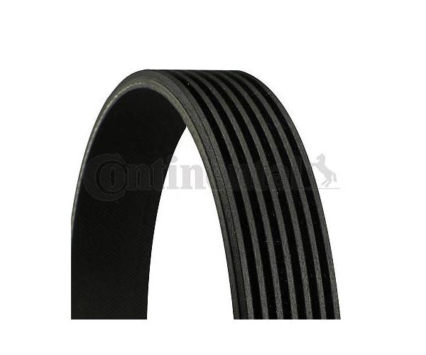 Correa trapecial poli V - CT7PK1093