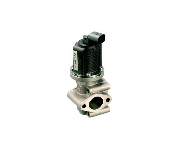 Válvula AGR - EG10259-12B1