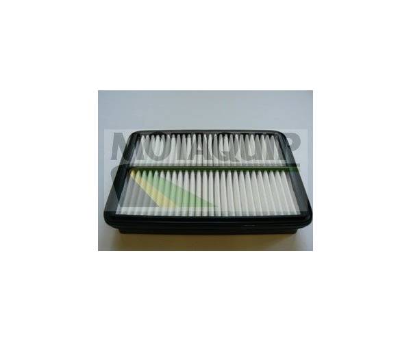 Filtro de aire - VFA1172