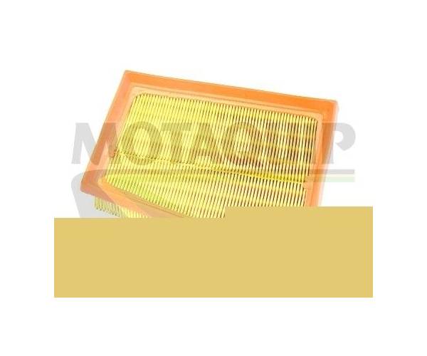 Filtro de aire - VFA1180