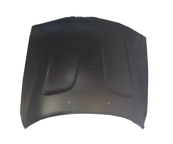 CAPOT BMW X3 E83 2006-2010 / 109.062130
